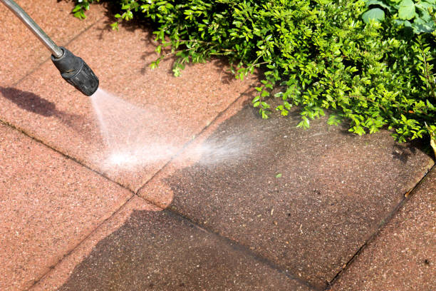 Best Roof Power Washing Services  in Dumas, AR