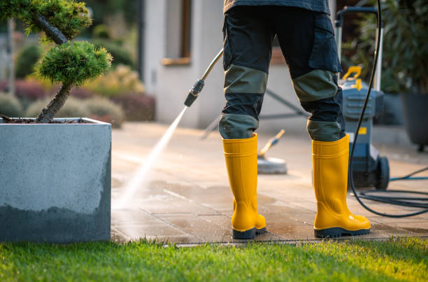 Best Deck Cleaning Services  in Dumas, AR